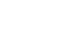 Aviatrix